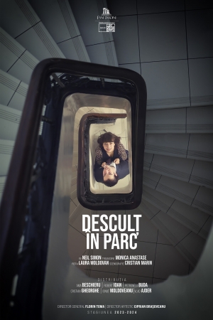 Afis spectacol DESCULȚ ÎN PARC